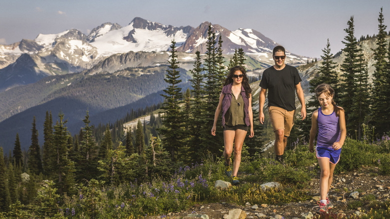 Family hiking on Whistler mountain in Canada in the summer