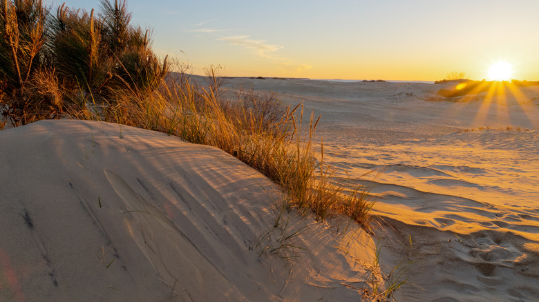 Sand dune at Jockey's Ridge State Park in Nags Head