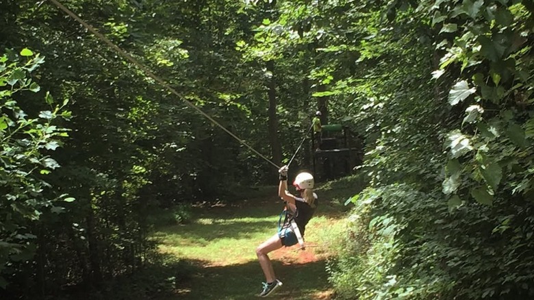 Person on a zipline cutting through the forest approaching a canopy station