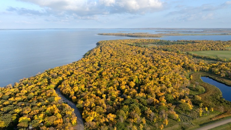 Trees changing colors in the fall at Grahams Island State Park