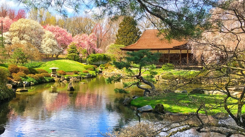 Small pond and a decorated Japanese-style garden and house