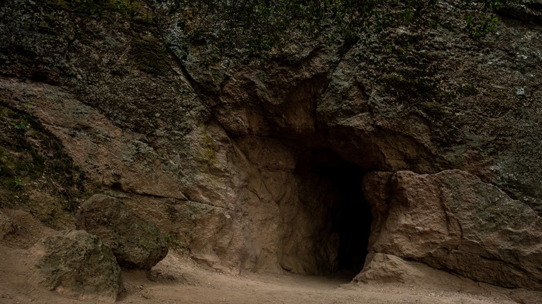 Tunnel entrance on Bear Gulch Cave Trail