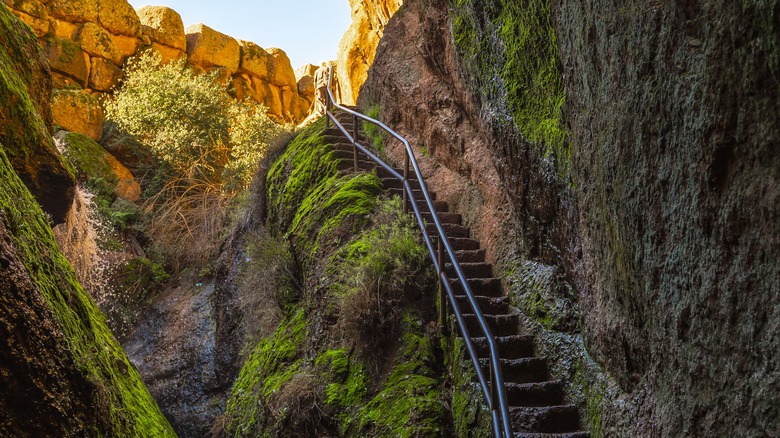 Mossy stairs leading out of Bear Gulch Cave