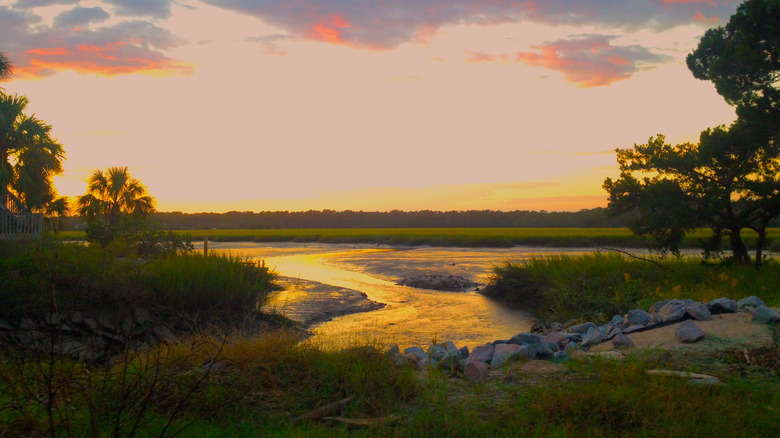 Trees and river at Edisto Beach State Park at sunset