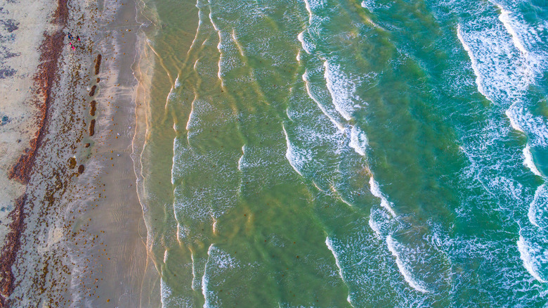 aerial of south texas beach