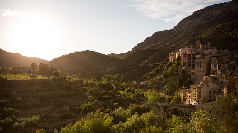 Village in the Priorat region