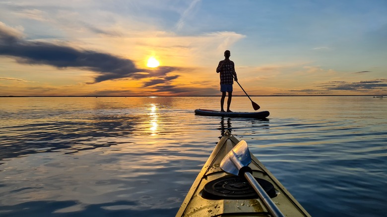 Stand-up paddle boarders near Holmön