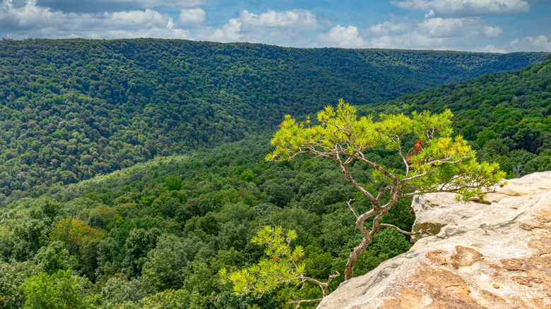 Sandstone outcropping overlooking mountains