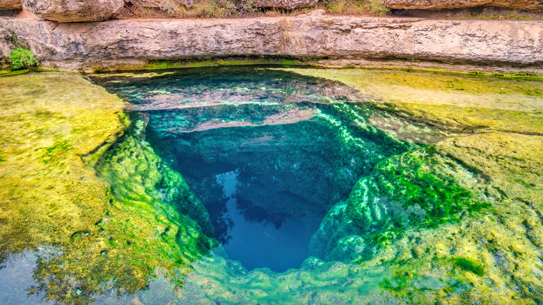 Jacob's Well in Wimberley, Texas