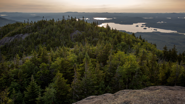 Panoramic Adirondack view from the top of Ampersand Mountain