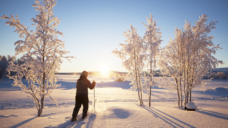 A person snowshoeing in Swedish Lapland