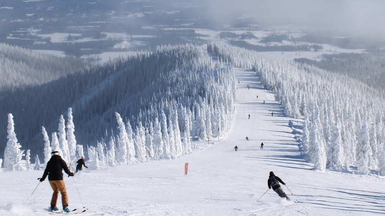 Skiiers going down one of the trails at Schweitzer Mountain Resort in Idaho