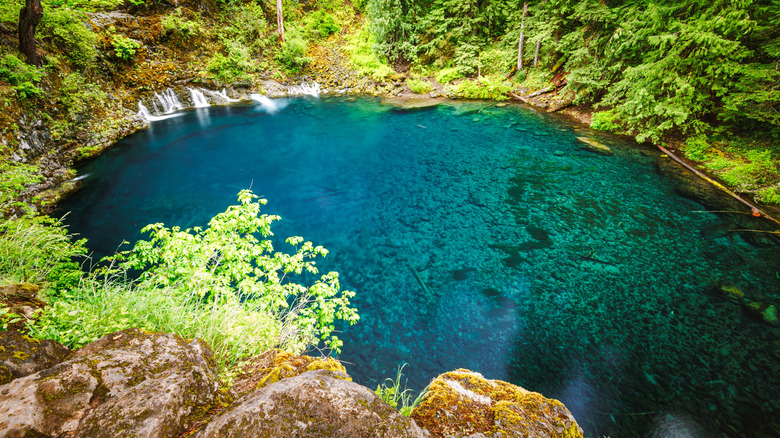 Tamolitch Blue Pool near Proxy Falls in Oregon