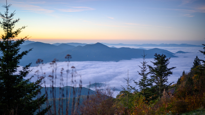 Sunrise from Waterrock Knob, North Carolina