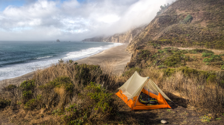 Orange tent on bluff overlooking Wildcat Beach, California