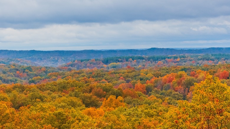 autumn colors in brown county state park