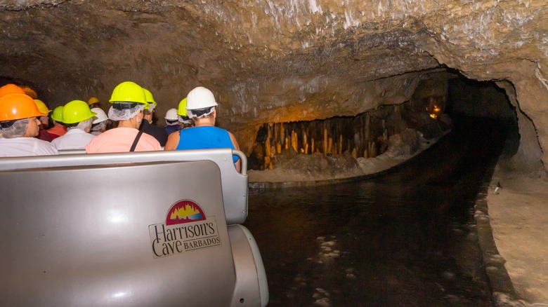 On the tram tour at Harrison's Cave Eco-Adventure Park in Barbados