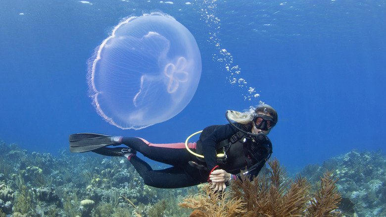 Female diver with jellyfish in Roatán