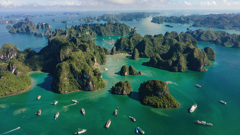 Cruise through Halong Bay