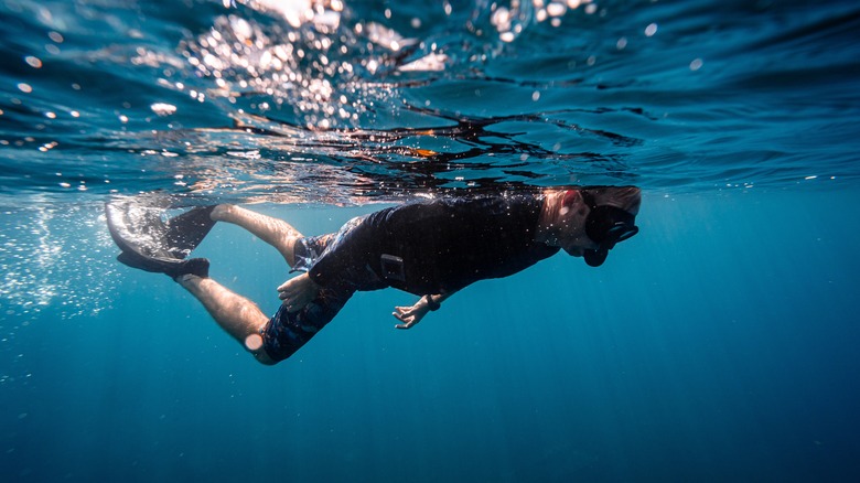 Person snorkleing in open water