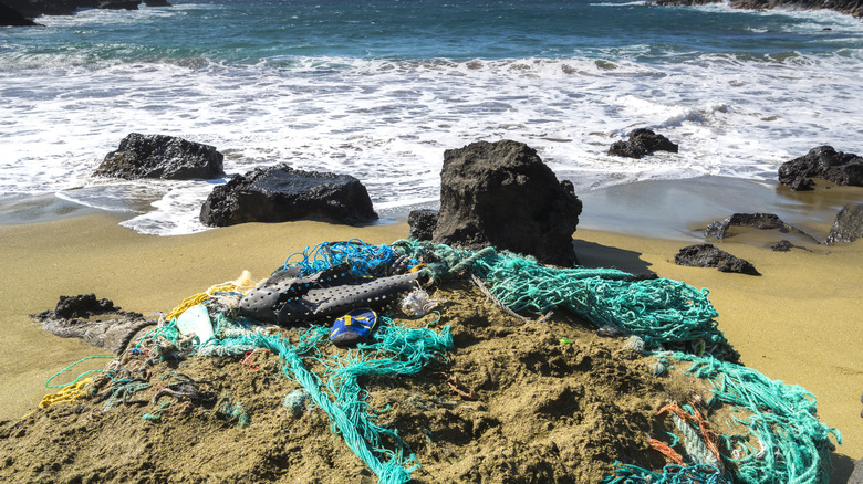 Garbage that washed up on the beach in Hawaii's Big Island