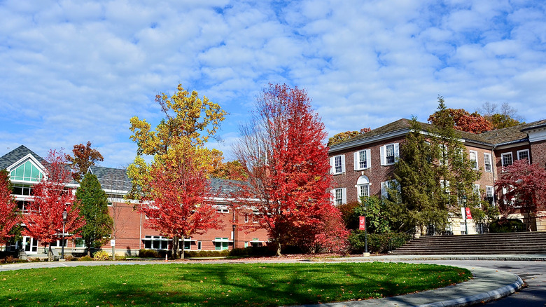 Wells College Campus in autumn