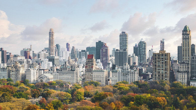 Manhattan skyline over Central Park, New York City