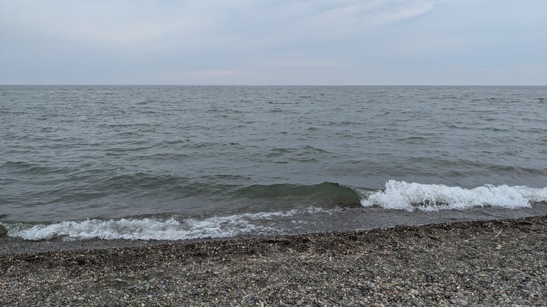 Wave at Headlands Beach State Park