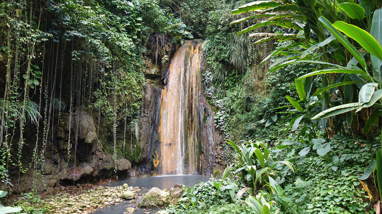 Waterfall in Diamond Falls St. Lucia