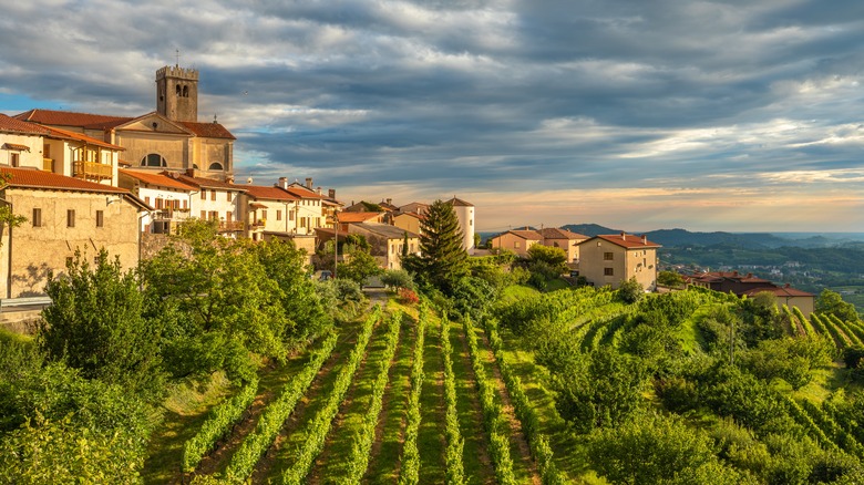 Winery in Brda, Slovenia