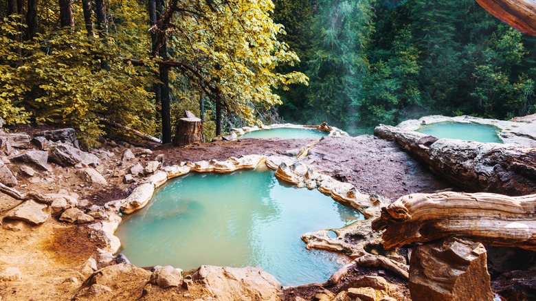 Man soaking in a hot spring amid forest scenery