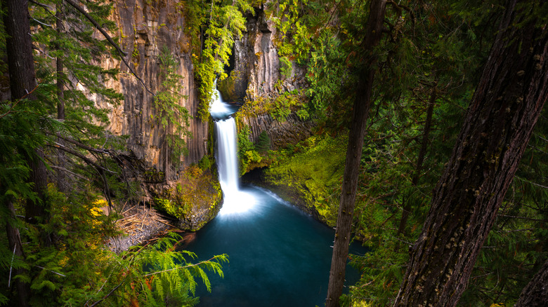 Landscape of a tall waterfall in the forest