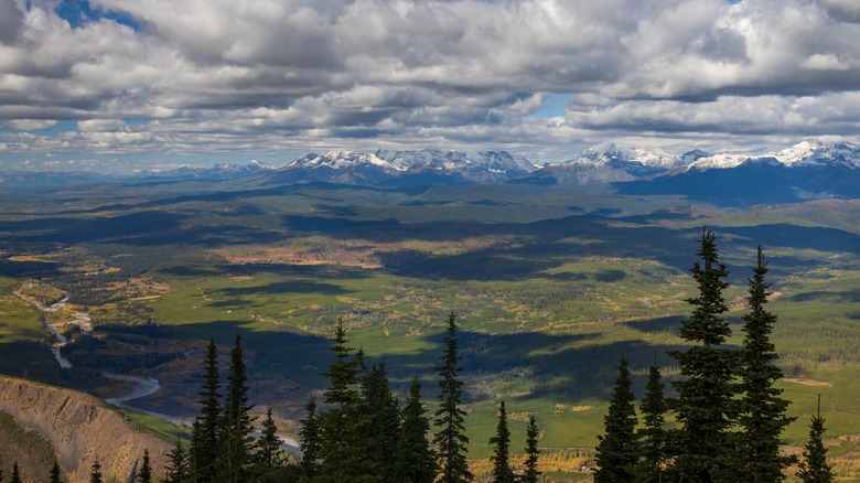 View from the Huckleberry Lookout Trail in Glacier National Park, Montana