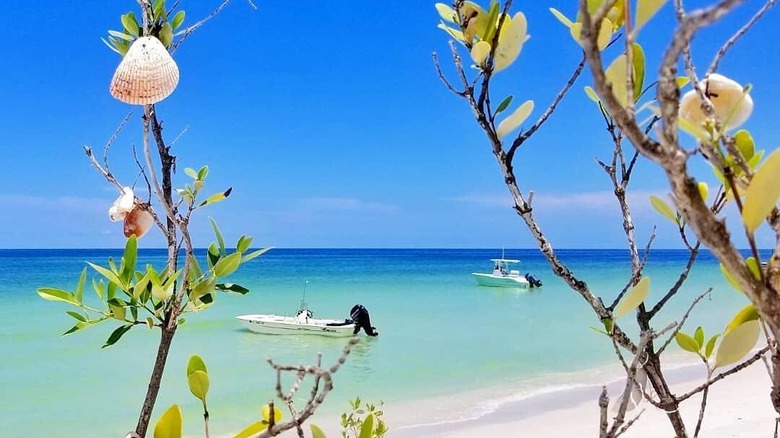 Small boats anchored at beach