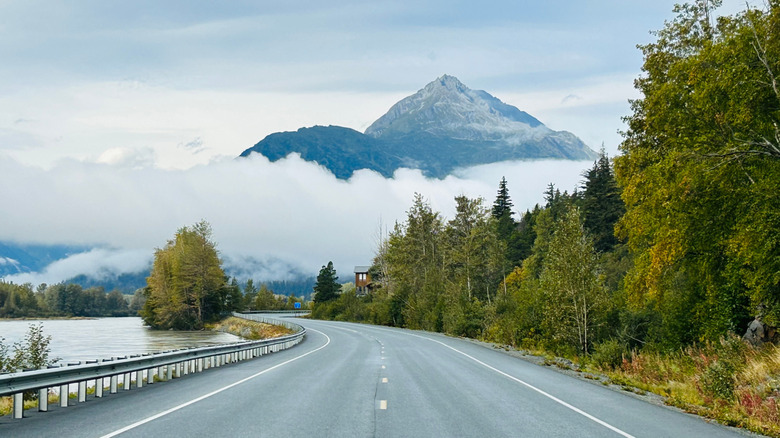 The scenic Haines Highway surrounded by Alakan nature