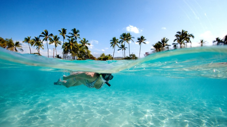 Snorkeling in Oahu