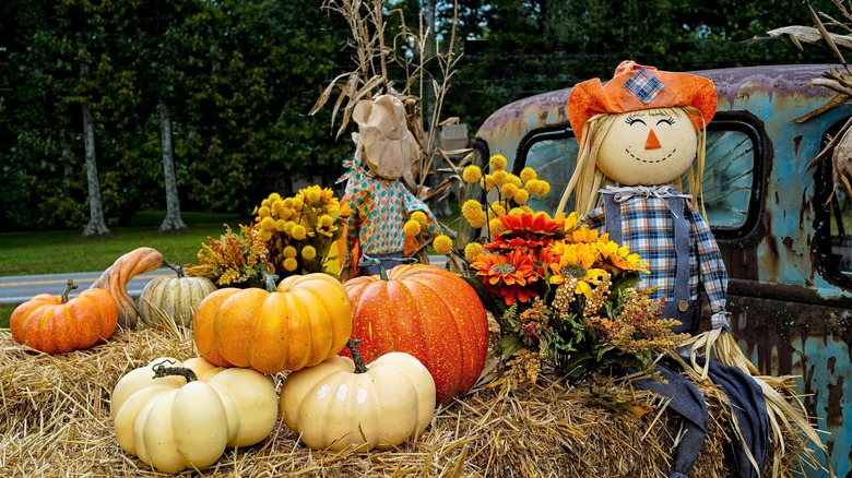 Scarecrow and pumpkin fall festival