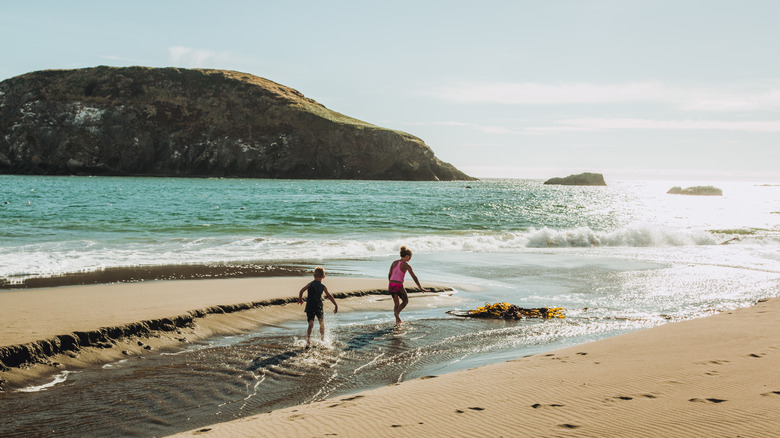 kids playing by the water at harris beach in Oregon