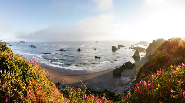 harris beach, Oregon, panoramic view in summer