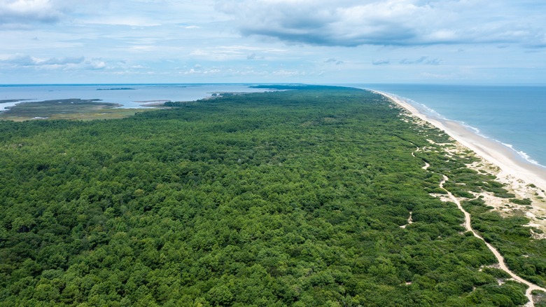 false cape state park near sandbridge beach