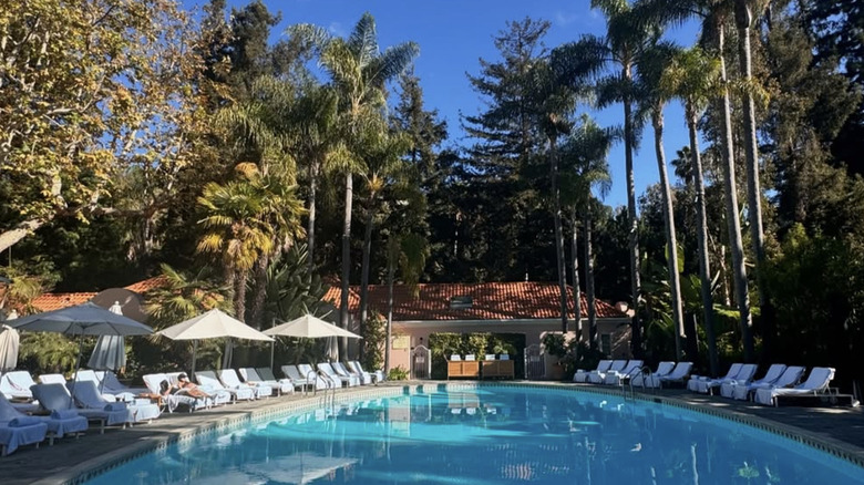 Oval-shaped pool with white lounge chairs at Hotel Bel-Air