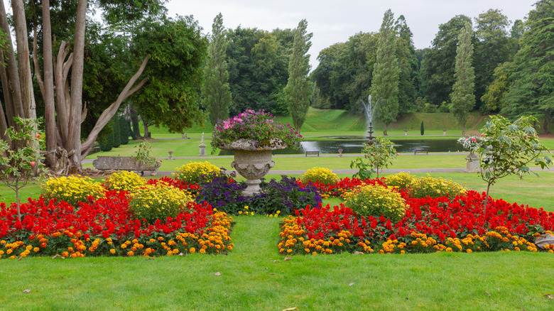 Bicton Park Botanical Gardens in Devon, England