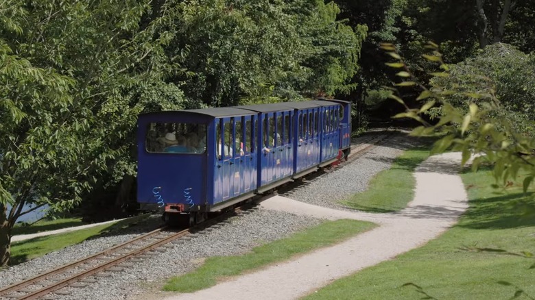 The Bicton Woodland Railway