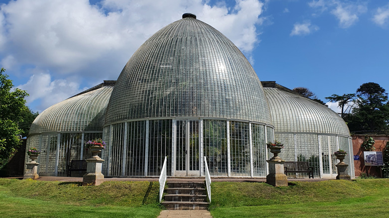 The Palm House at Bicton Park Botanical Gardens