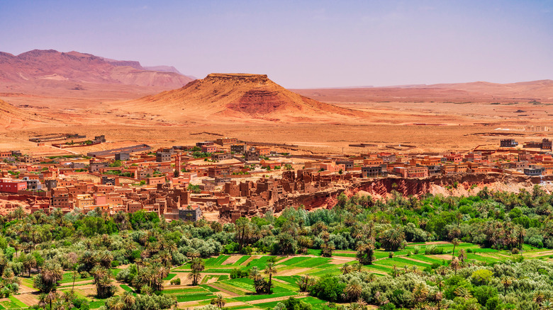 oasis and ksar with desert in the backdrop