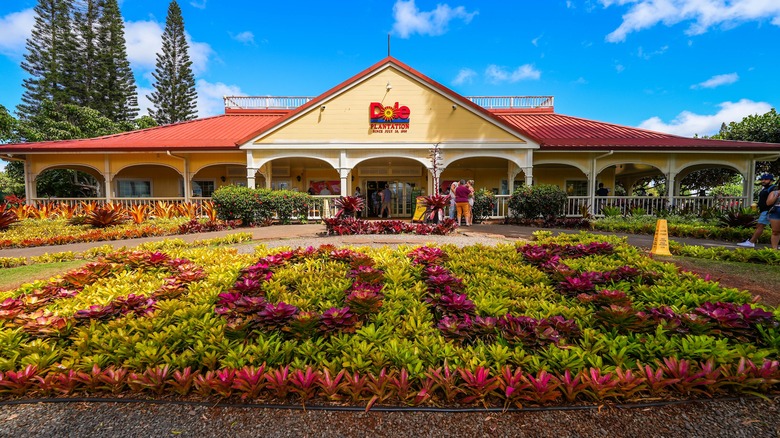 Outside the Dole Plantation entrance in Oahu, Hawaii