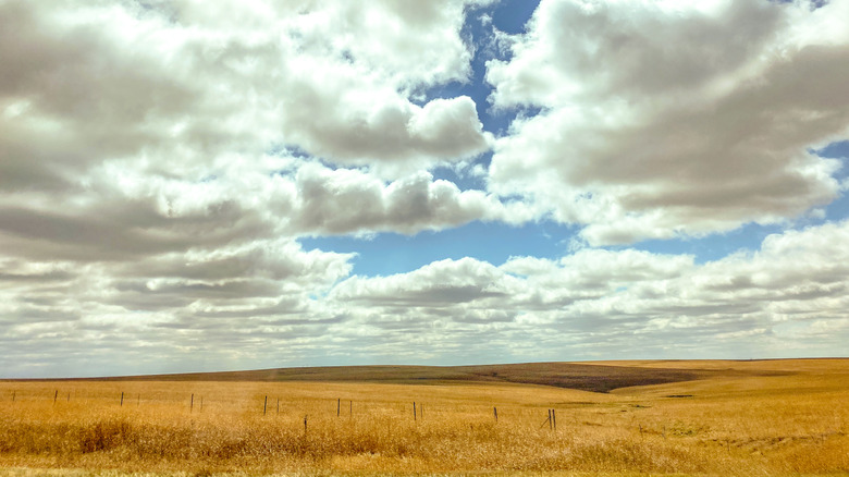 Flint Hills plains in autumn when the grass turns yellow