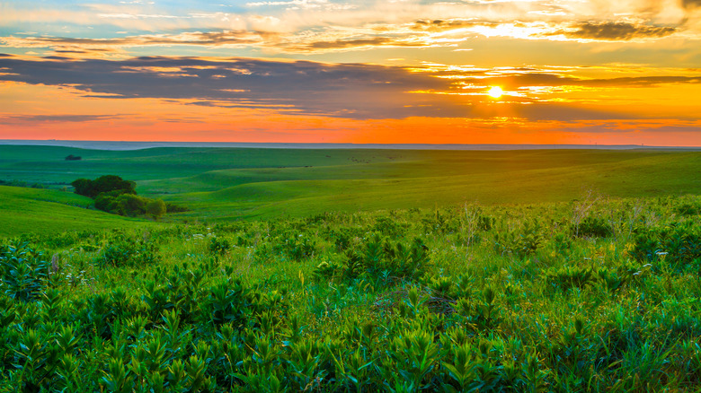 The Flint Hills tallgrass prairie of Kansas