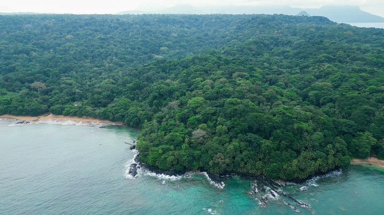 Príncipe Island jungle aerial view