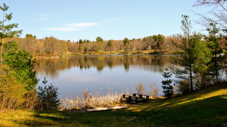 View of Tyrrel Lake in fall